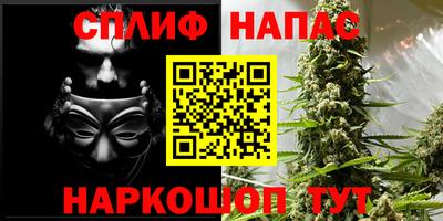молекула духа Гусев