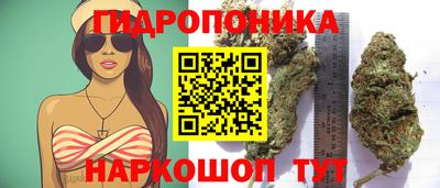 ПСИЛОЦИБИНОВЫЕ ГРИБЫ Гусиноозёрск
