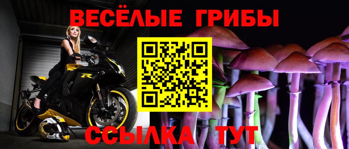 наркотики  Псилоцибиновые грибы мицелий  Вход с VPN  Воткинск  Галлюциногенные грибы Psilocybe 
